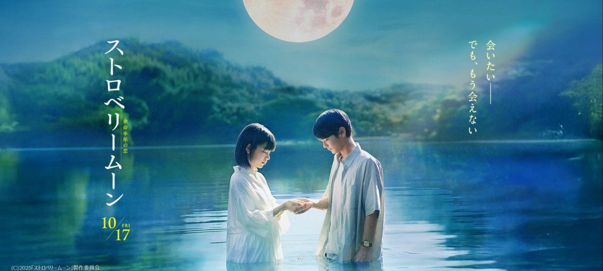 89ec3487b6dbe43e4c886cb4717259d4